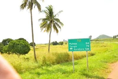 DSC_4377 (Large).JPG